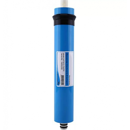 Membrane 100